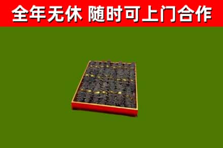 扶沟回收海参
